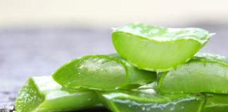 Aloe Vera für die Haare: Wie Aloe Vera gegen Haarausfall hilft und die Haare stärkt