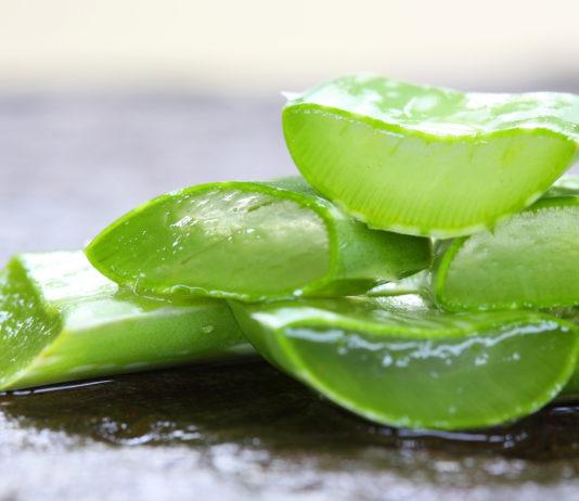 Aloe Vera für die Haare: Wie Aloe Vera gegen Haarausfall hilft und die Haare stärkt