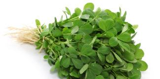 Bockshornklee gegen Haarausfall: So kräftigen Sie Ihre Haare mit der Heilpflanze