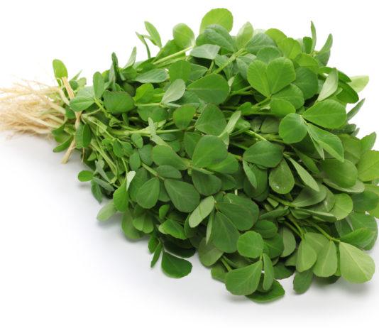 Bockshornklee gegen Haarausfall: So kräftigen Sie Ihre Haare mit der Heilpflanze