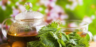 Brennessel gegen Haarausfall: So kräftigen Sie Ihre Haare mit der Heilpflanze