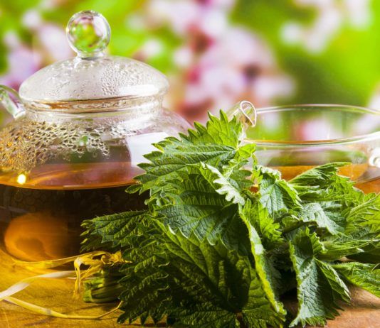 Brennessel gegen Haarausfall: So kräftigen Sie Ihre Haare mit der Heilpflanze