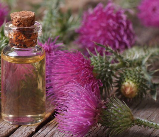 Klettenwurzelöl gegen Haarausfall: Wie Klettenwurzelöl die Haare stärkt