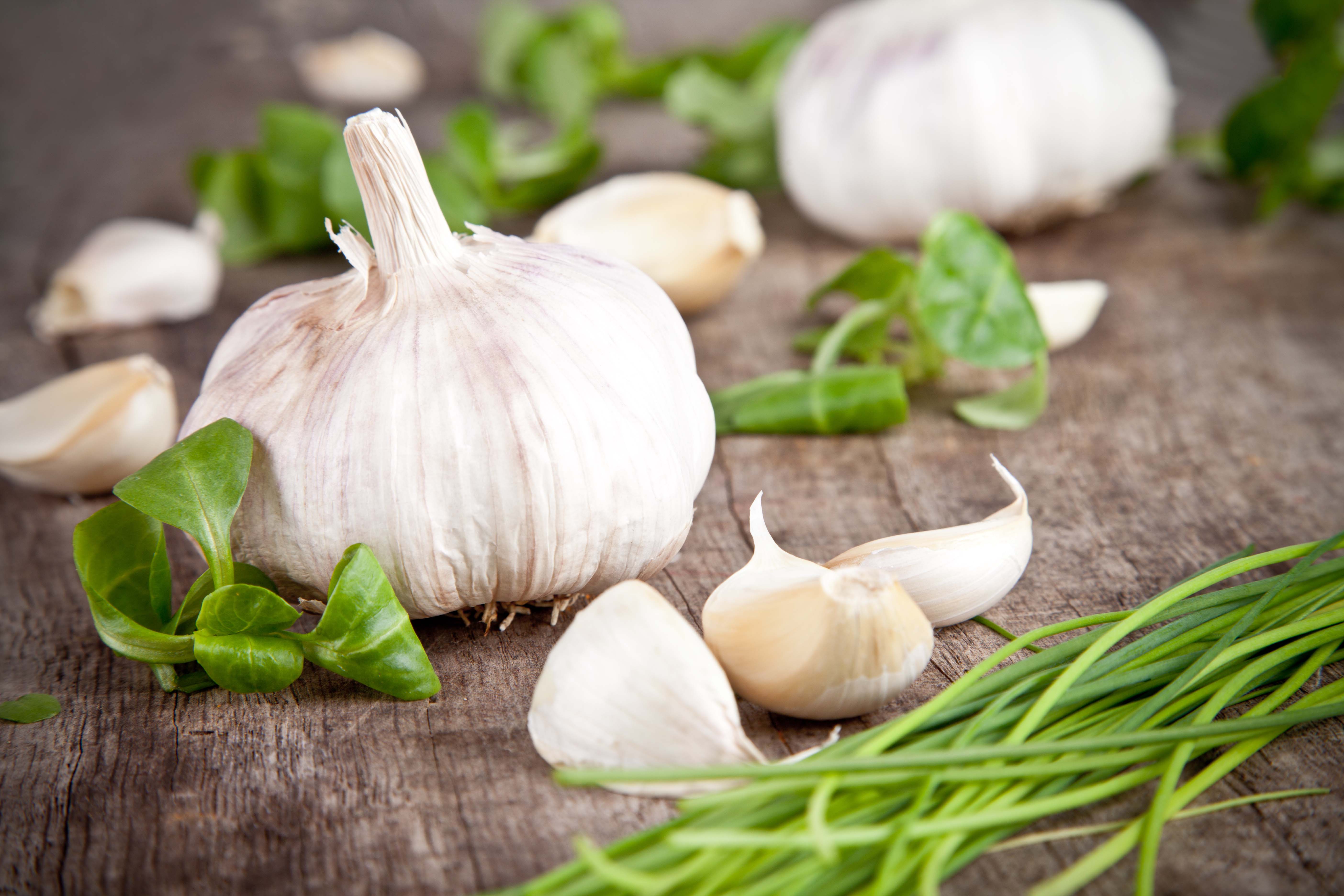 Knoblauch Gegen Haarausfall So Kraftigt Knoblauch Ihre Haare Bella Bellice